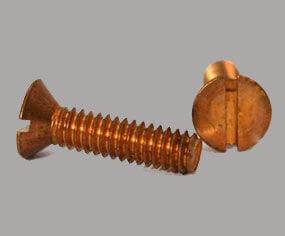 Copper Nickel 70-30 Screws