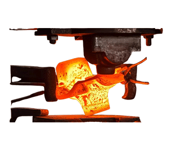 SS Forged Flanges